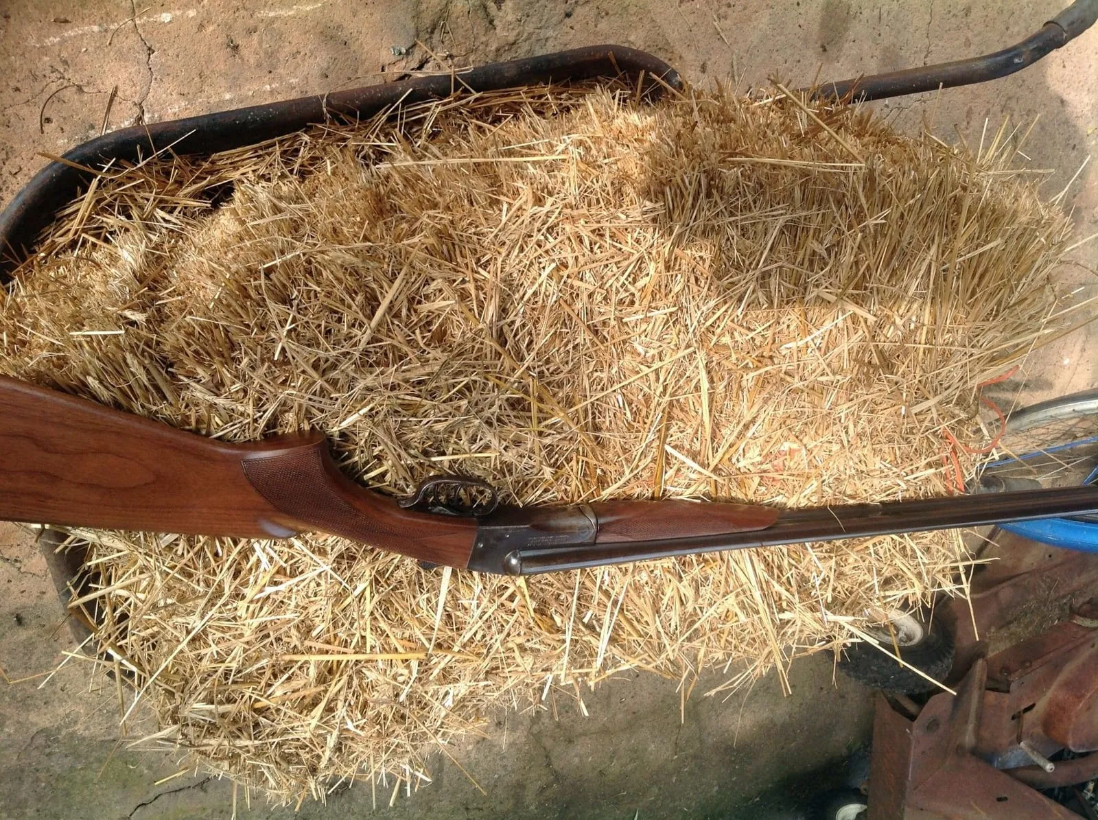 Winchester SXS
