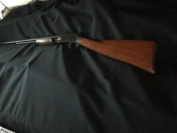 colt lightening 22